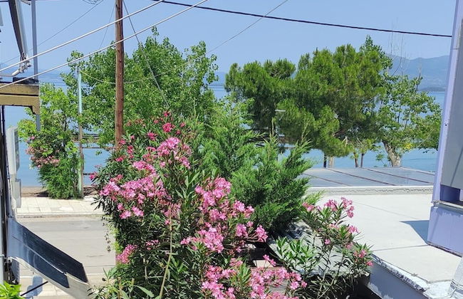 Okeania Seafront Rooms in Kamena Vourla - Foto 61