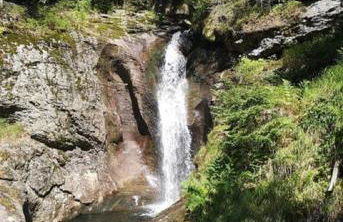 Ferienland Sonnenwald Studio 50 - Foto 26