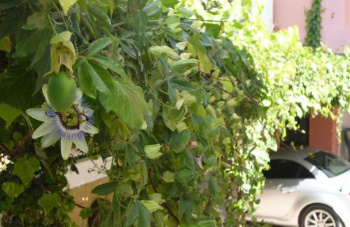 Kostas studios - Foto 28