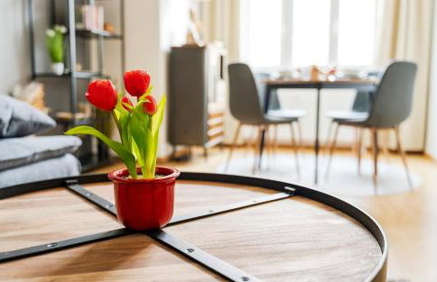 Elbau Residence Uni und Klinik nah - Foto 26