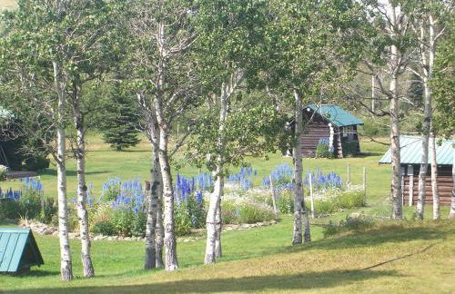 Group Vacation Rental for Family and Corporate Getaways near Glacier National Park, Montana - Foto 21