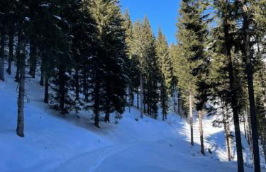 Maso Giulia - Foto 62