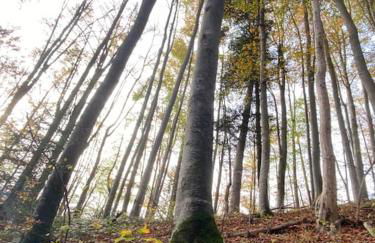 Casa Natur Pur, 85m2 mit Garten Sauna - Foto 62