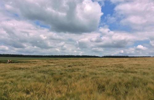 Two separate farmhouse apartments under one roof - Foto 30