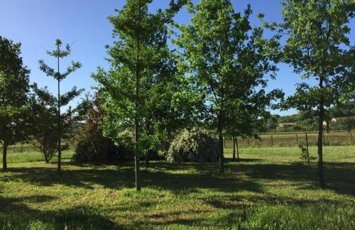 casa in campagna _LORI - Photo 25