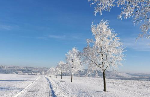 Premium Vulkaneifel Chalet - Foto 22