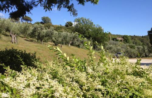 Il Poggio Delle Ginestre - Foto 53