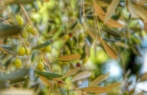 Agriturismo Casa da Pietro - Photo 59