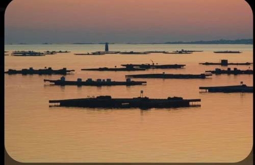 Piso nice centro Sanxenxo - Foto 53