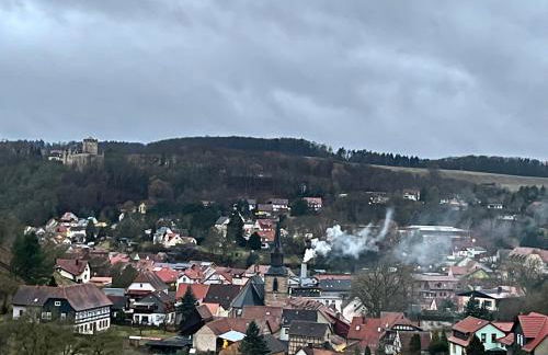 Delux Ferienwohnung Kunstgalerie und Ilmradweg - Photo 58