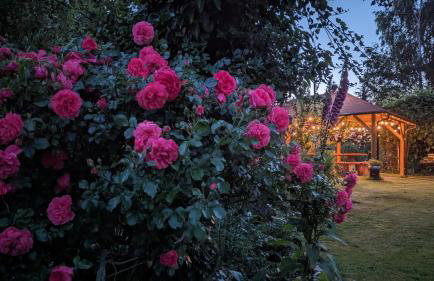 Przy Strumyku - Apartament w Górach Izerskich - Photo 19