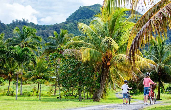 Raiwasa Grand Villa - Photo 33