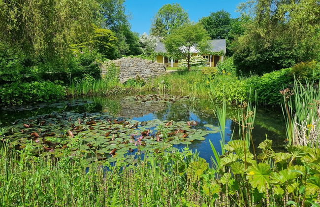 Glyndwr Vineyard - Foto 30