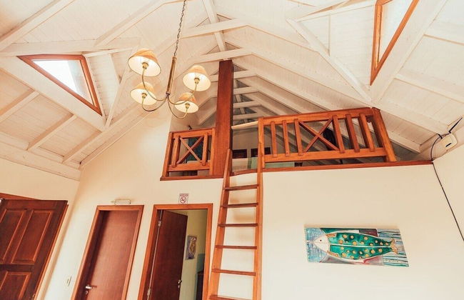 Ibirawave - Photo 44