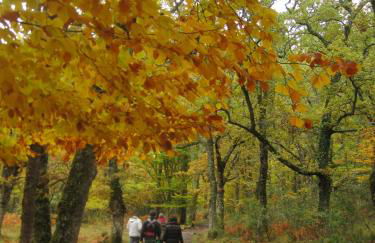 Alojamientos El Horno - Foto 67