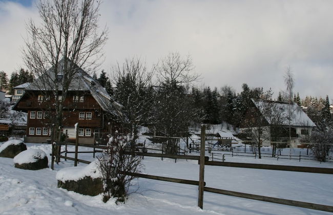 Historisches Ferienhaus im Schwarzwald - Photo 17