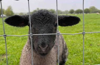 Nestledstays - The Barn House With Hot Tub - Foto 21