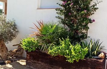 Villa Launa en Port d' Addaia - Foto 8