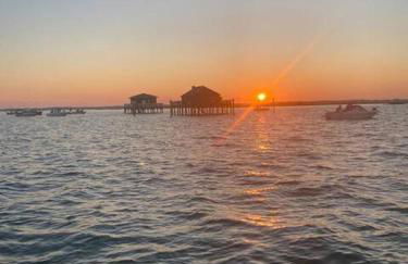 Le Marlin du Phare du Ferret - Foto 13