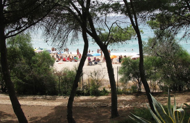 Villa Luisa - Photo 73