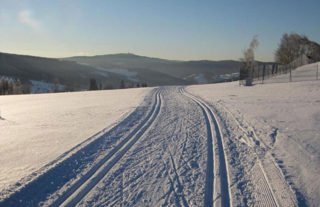 Cozy Ore Mountain Chalet - Foto 35