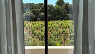 Studio 1 terrasse aperçu mer vignes - Foto 2