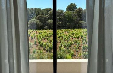 Studio 1 terrasse aperçu mer vignes - Foto 2