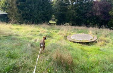 Land-Haus Sonnenhang - Foto 11