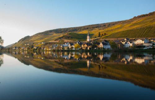 Haus in Spay an der Mosel mit Sauna - Foto 34