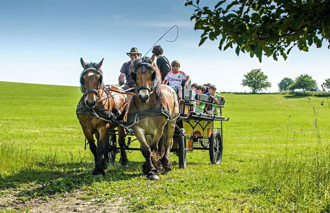 Nengshof - Haus Königskerze - Photo 19