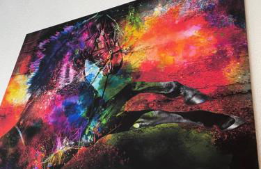 Le Mustang Internet Fibre Netflix - Foto 14