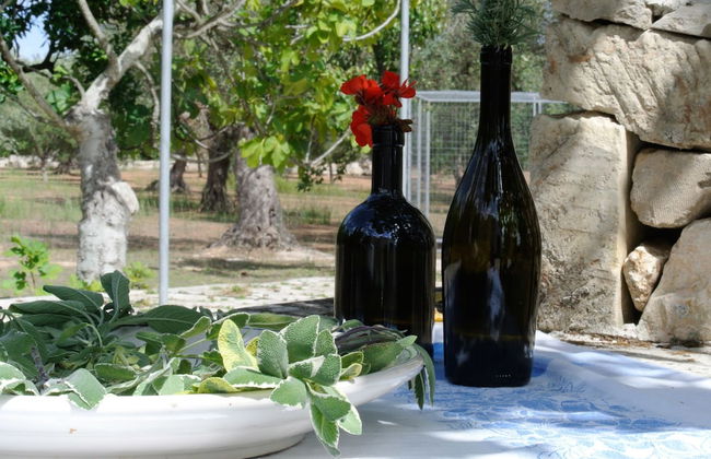 Agriturismo Villa Coluccia - Foto 51