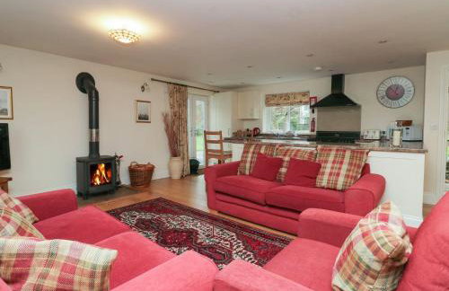 Low Jock Scar - Foto 43