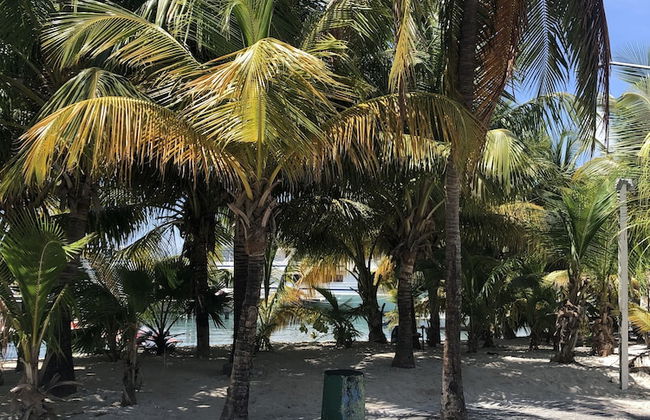 Océan Cave - Foto 8