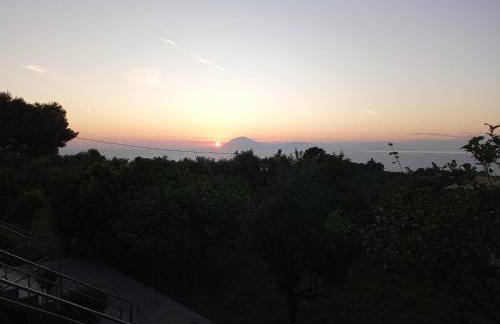 Panorama Rooms - Foto 42