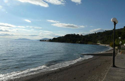 Dennis House - Foto 4