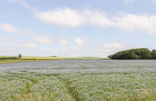 Bella's Cottage - Photo 18