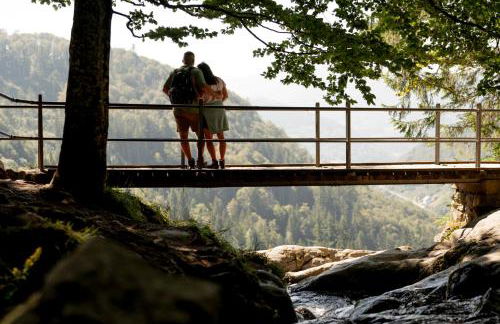 Fewo Waldgeflüster Urlaub im Wanderparadies mit Sauna im Haus Panoramabalkon - Foto 35