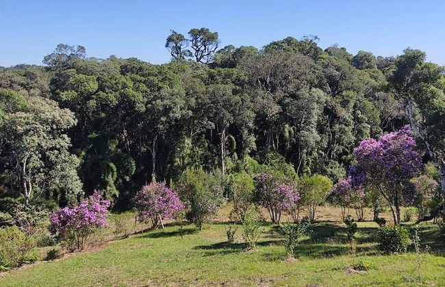 Recanto Vista Alegre - Rancho Queimado - Photo 42