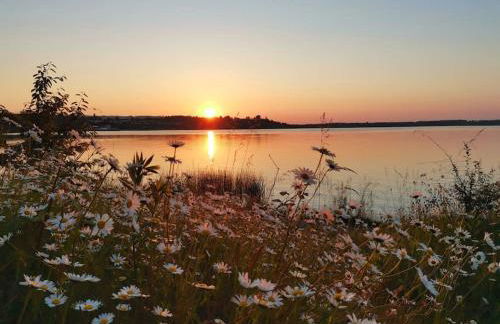 Zauberwagen am Geiseltalsee - Foto 12