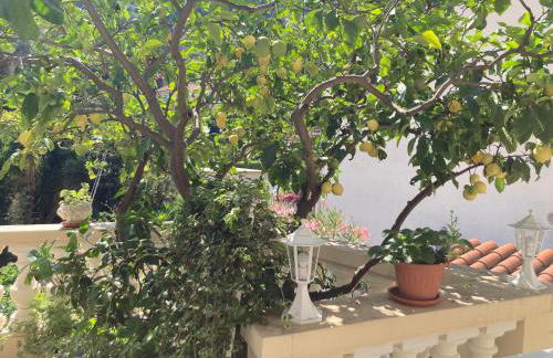 Studio Villa la Cigale avec grande Terrasse - Foto 28