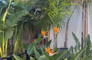 A Private Garden Villa near Athens Airport and the Beach - Foto 13