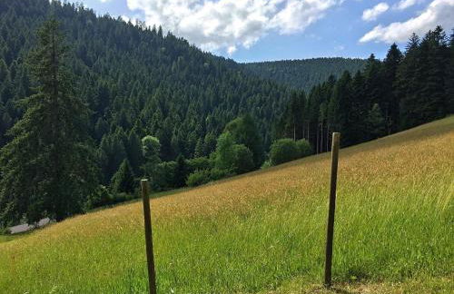 Charmantes, Einladendes Ferienhaus in Toller Natur - Foto 44