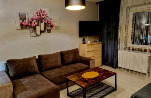 Willa "Aparthause" E-Apartamenty - Foto 15