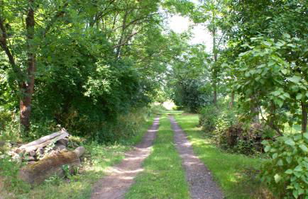 Ferienwohnung Fuchsberge - Foto 23