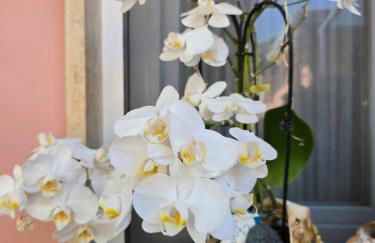 Casa Anna Maria - Foto 16