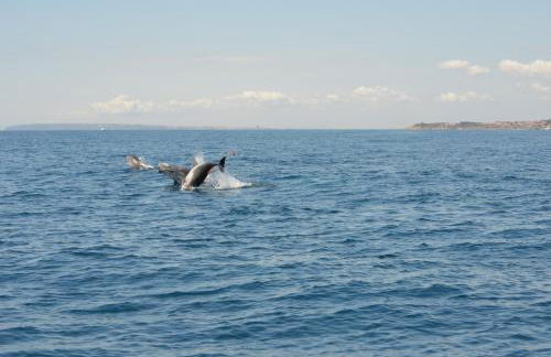 Villa María - Photo 43