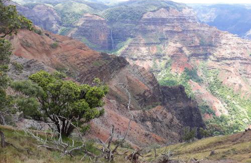 Kiahuna Plantation 96, Poipu Beach, Club Membership, Part Ocean View, Kids Toys - Foto 37