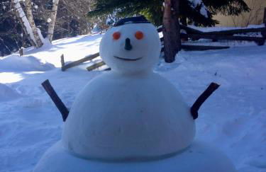 Chalet L'Eider - Foto 14