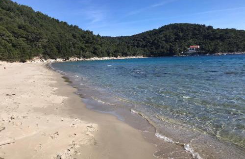 Apartments Pitarević - Photo 17